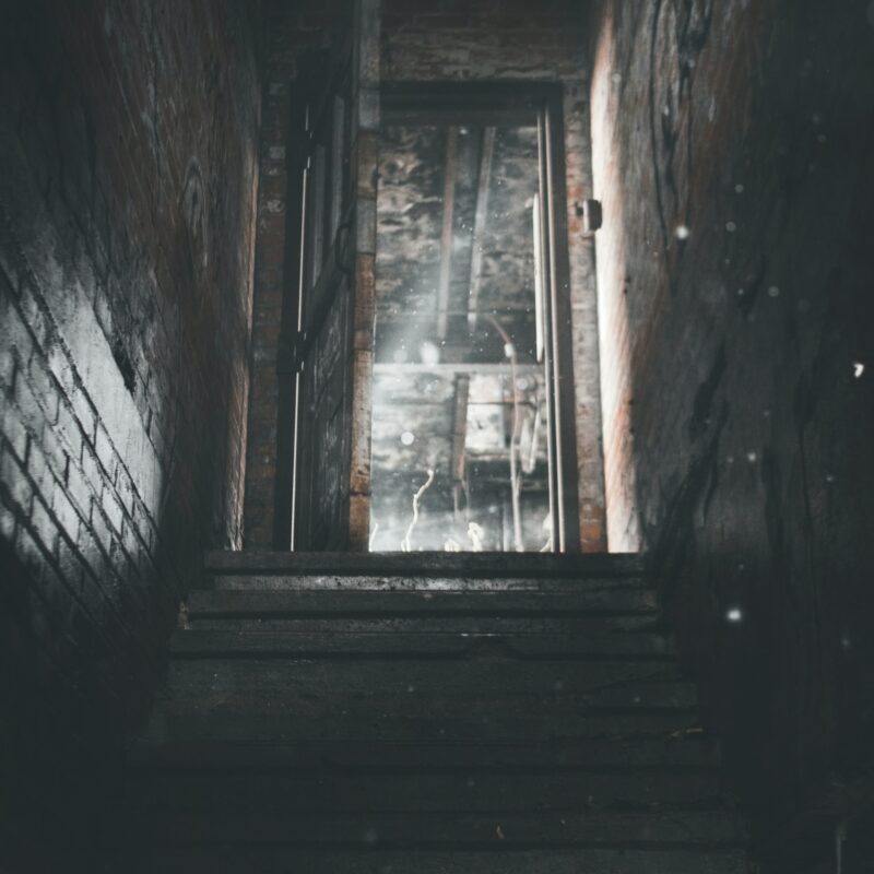 musty basement smell