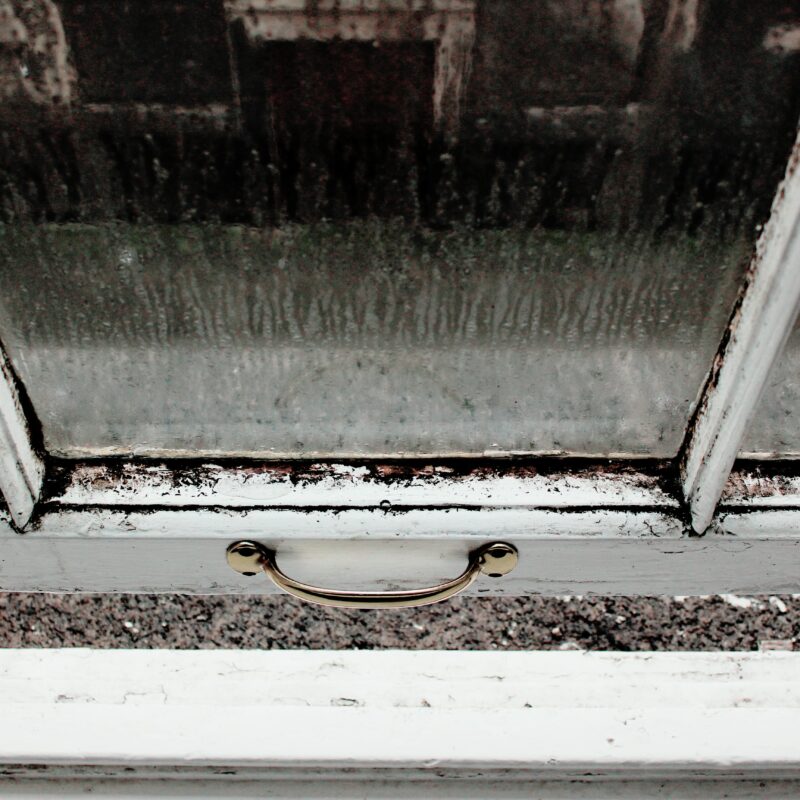 common causes of mold