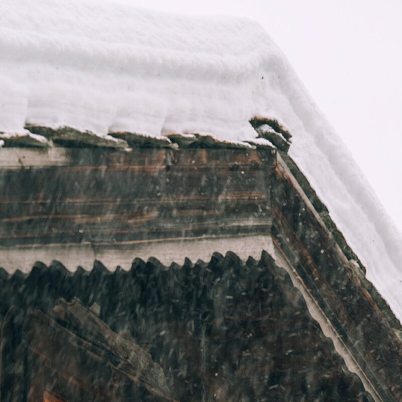 snow damage