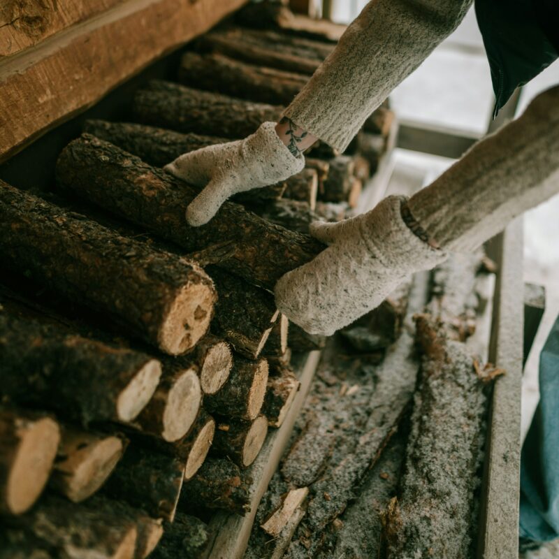 how to store firewood to avoid termites