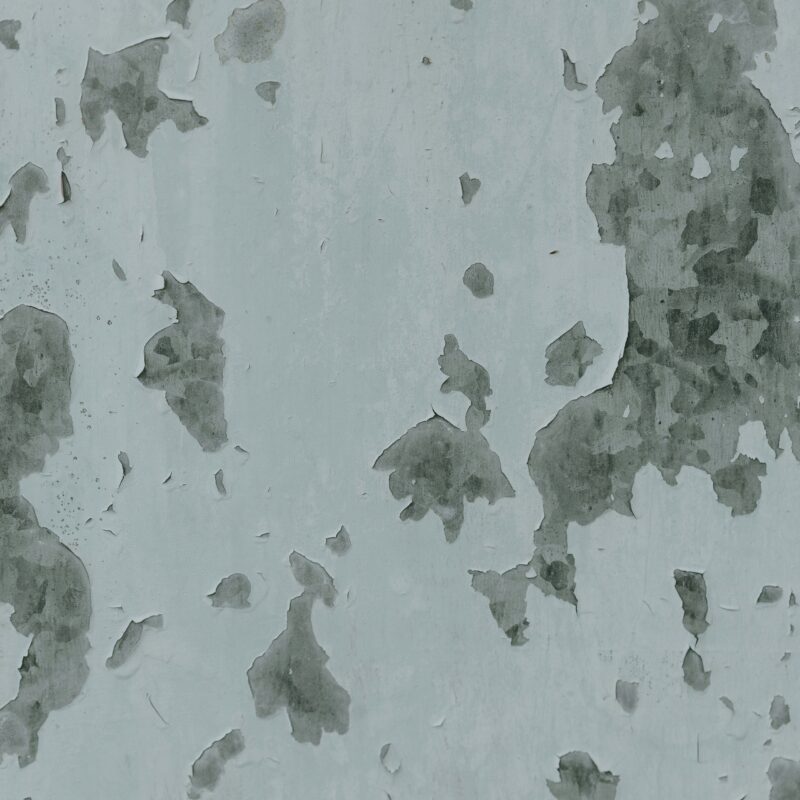 How to Determine if You Have Old or New Water Damage