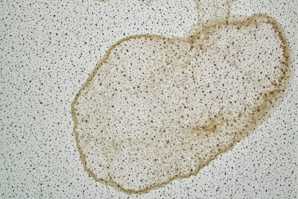 What Does Water Damage on a Ceiling Look Like