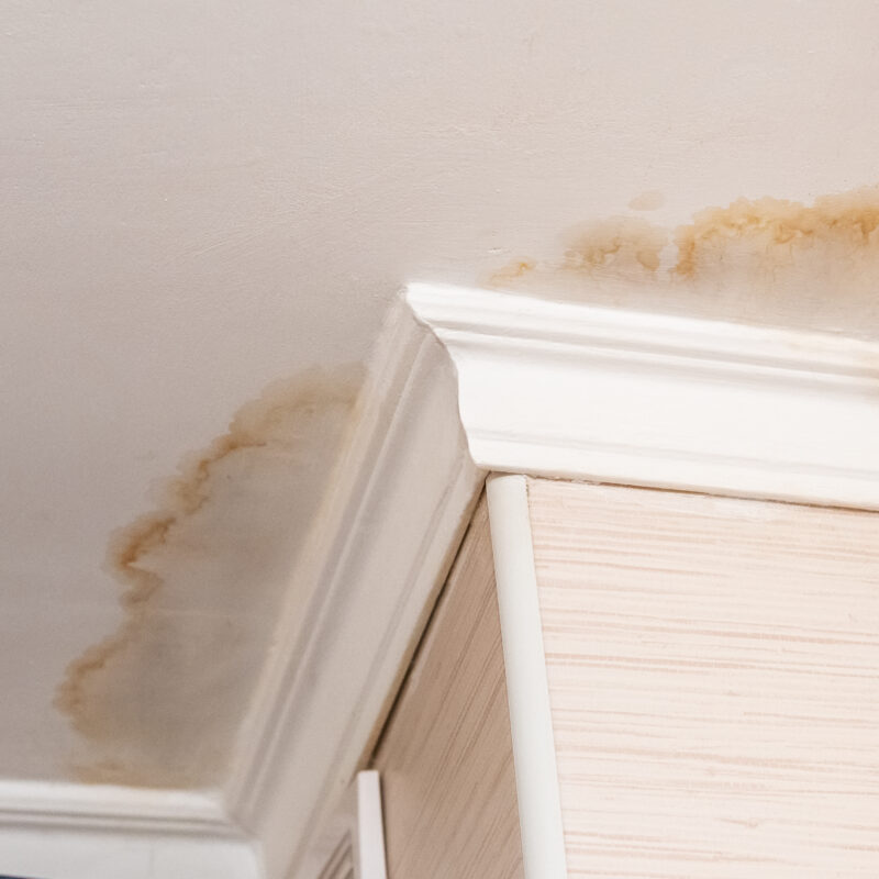 What Does Water Damage on a Ceiling Look Like