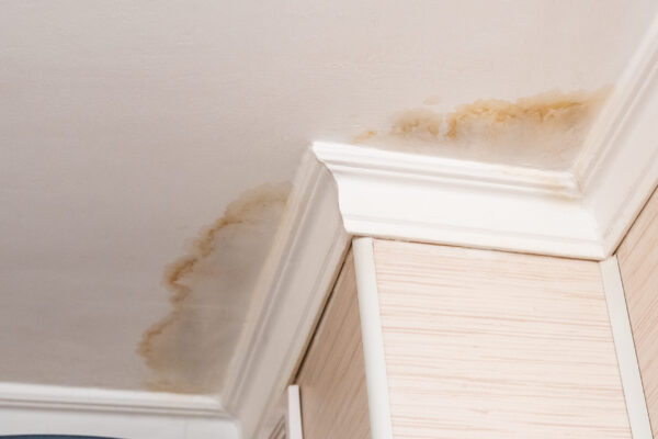 What Does Water Damage on a Ceiling Look Like